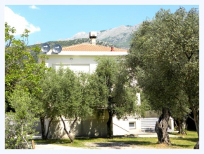 Отель Guesthouse Maslina  Будва